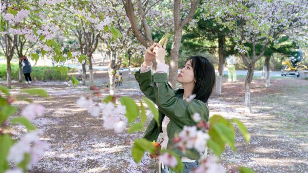 明道配资 次第花开撬动吉林“赏花经济”