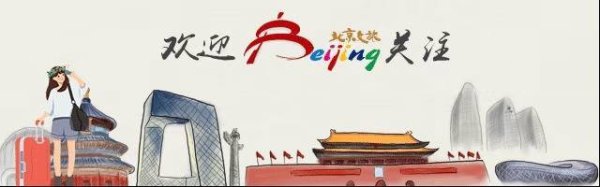 拉伯配资 免费入园！这个“夜市派对”太全面了！还能带上小狗一起逛！