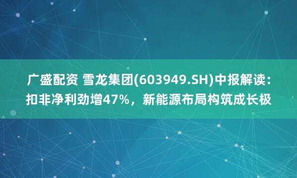 广盛配资 雪龙集团(603949.SH)中报解读：扣非净利劲增47%，新能源布局构筑成长极